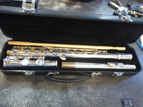 Trevor james 10xe flute silver - trevor,
