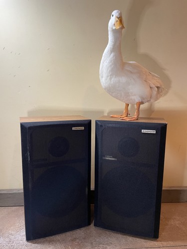 Pair retro pioneer - pair, cs-g104a