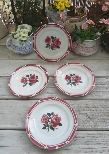 Assiettes plates - 4,