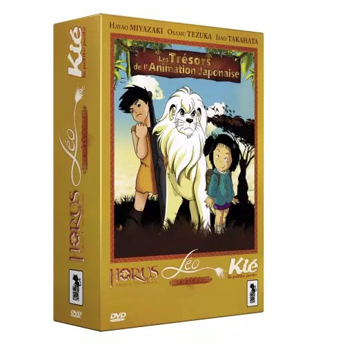 Coffret trésor animation - coffret, de