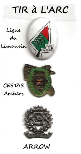 Pin tir arc archers - 3, pin's