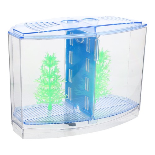 Déco aquarium poissons - aquarium, À