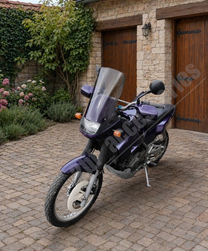Kawasaki kle 500 1991 - kle,