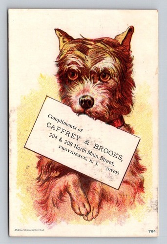 Caffrey brooks cook parlor - caffrey,
