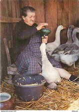 Animaux - Oiseaux - La Gaveuse d'Oie - CPM - Voir Scans Recto-Verso