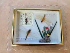 Horloge insectes naturalisés