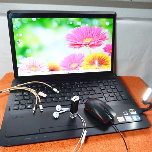 Sony vaio f22 - premium, 16