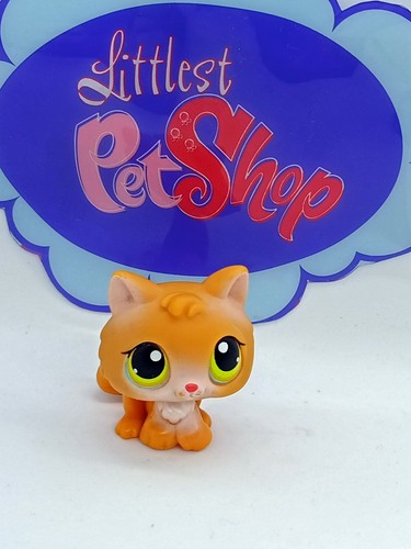 Petshop authentique chat cat - petshop,