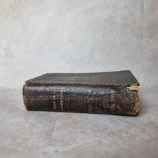 L’Ange de la Miséricorde -