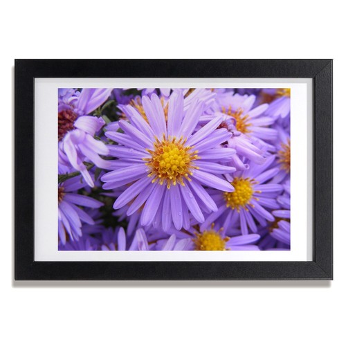 Tulup photo 30x20cm mdf - photo,