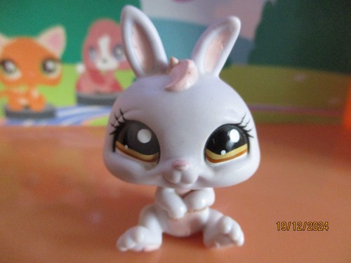 Petshop lapin nain - petshop, #1050