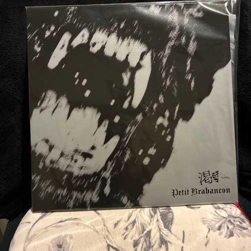 Disque vinyle petit brabancon - petit,