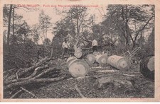 HAUTE MARNE  FAYL BILLOT
