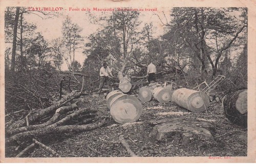 Haute marne fayl billot - marne,