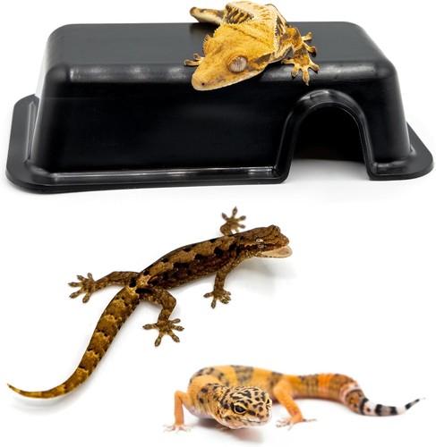Reptile hide box mini - hide,