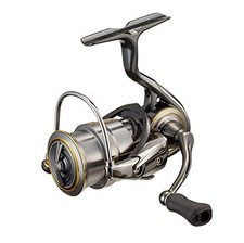 Daiwa 21 Rubias Airity FC LT2000S-P
