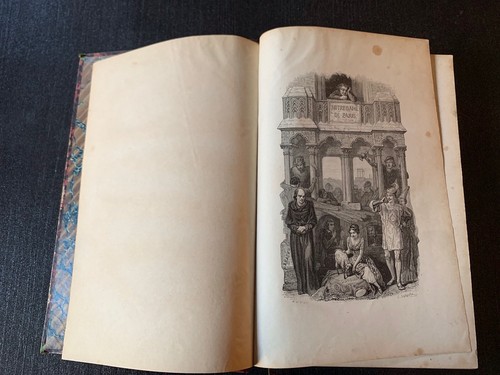 Livre notre dame paris par - paris,