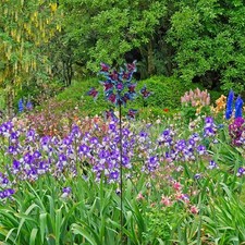 Moulin à vent rotatif en