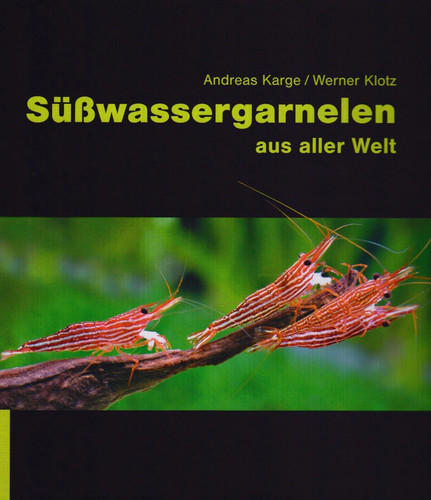 Dennerle süßwassergarnelen - süßwassergarnelen,