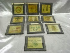 10 PLAQUE VERRE PHOTOS ANCIEN NEGATIF ECLATE COULEUR SCIENCE PLANTE STEREOSCOPE