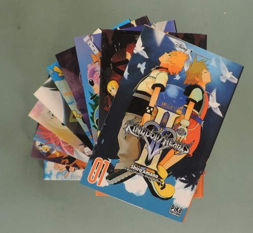 Kingdom hearts serie - kingdom, ii