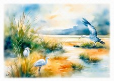 Tableau illustration