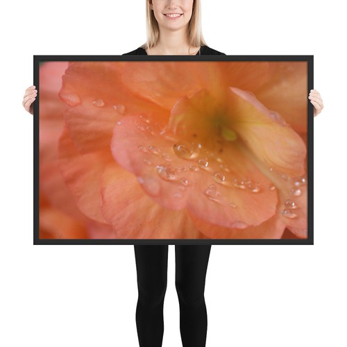 Framed pink flower poster - pink,