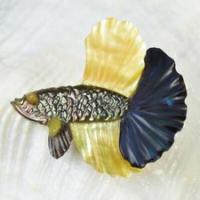 Siamois Combattant Poisson