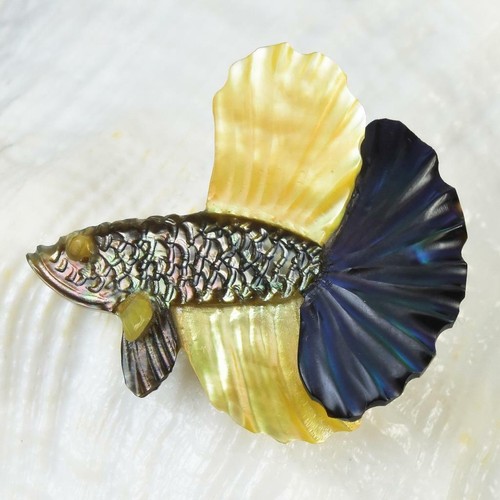 Siamois combattant poisson - siamois,