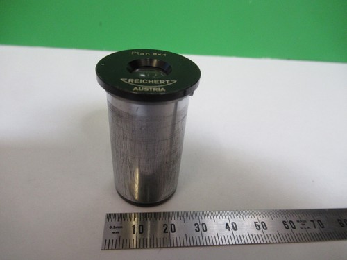 Oculaire microscope - oculaire,