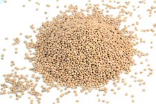 Noyaux de cerise en vrac Coussin chauffant noyaux de cerise séchés 5kg