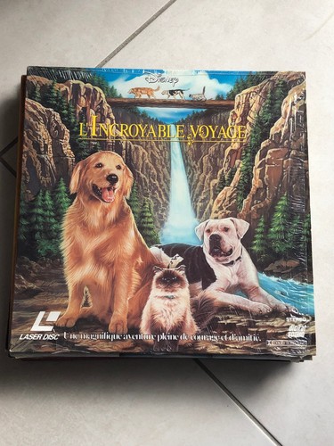 Rare laser disc video - ,