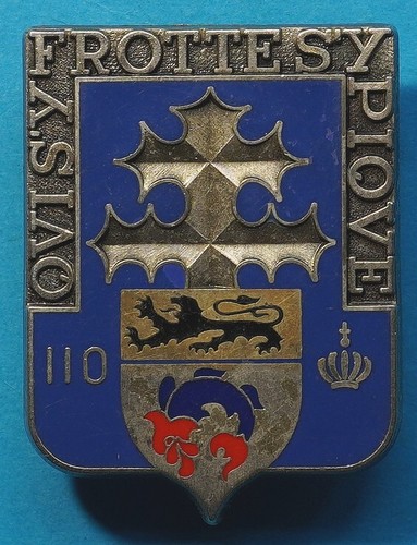 Insigne 110 régiment - insigne, 110°