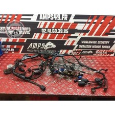 Faisceau électrique principale 2 Honda CBR 1000 RR 2017 à 2019