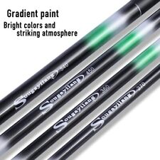 Canne à Pêche Télescopique