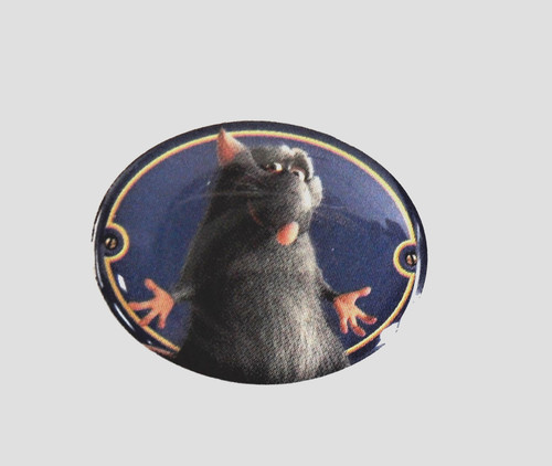 Rnt pin disney pixar - pin's,