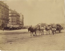 FRANCE Marseille Attelage