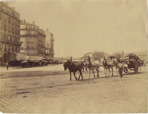 France marseille attelage - france,