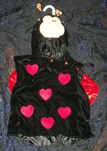Costume coccinelle 98 - coccinelle,