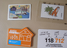 1 MAGNET  DISNEY-FLEURY