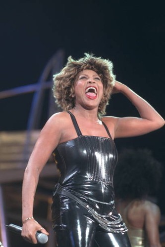 The singer tina turner - the,