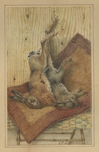 Dartein ferdinand dessin - de,
