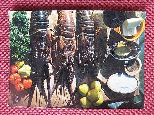 0660 cpsm la cuisine - ,