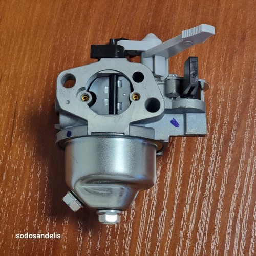 Carburateur pour moteurs