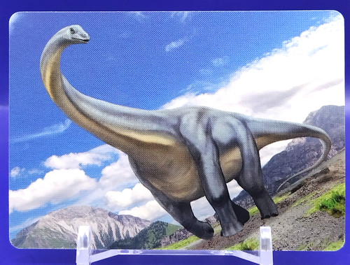 Diplodocus dinosaures card - /,