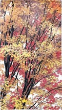 Noren Rideau Tapisserie 150x85cm Paysage Montagne Japon Feuilles D'Automne