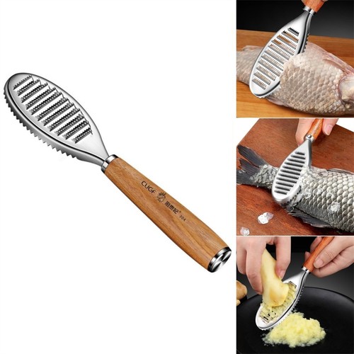Brosse écailles poisson en - écailles,