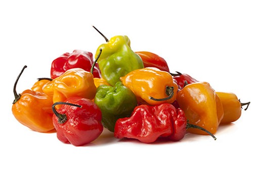 Graines piment antillais - graines, de