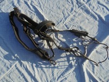 bride de cheval de troupe de l