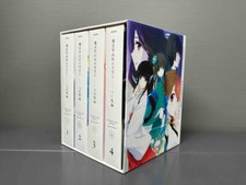 The Irregular at Magic High